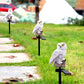 Garden Owl Solar Powered LED Lights